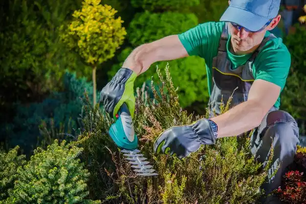 landscaping services Fullerton